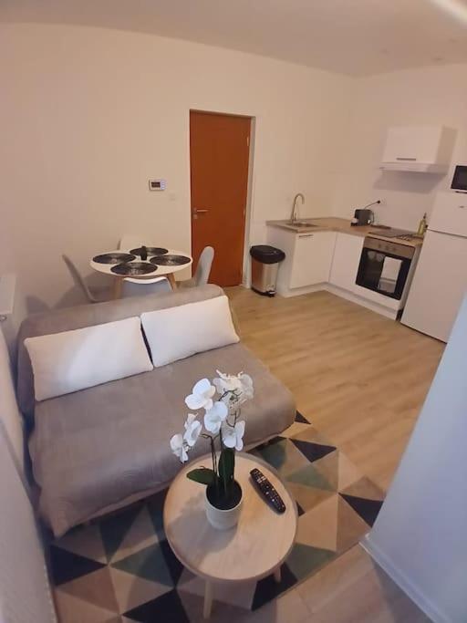 Appartement F1 Orchidee Мюлуз Экстерьер фото