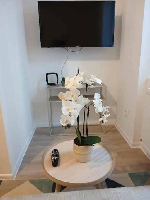 Appartement F1 Orchidee Мюлуз Экстерьер фото